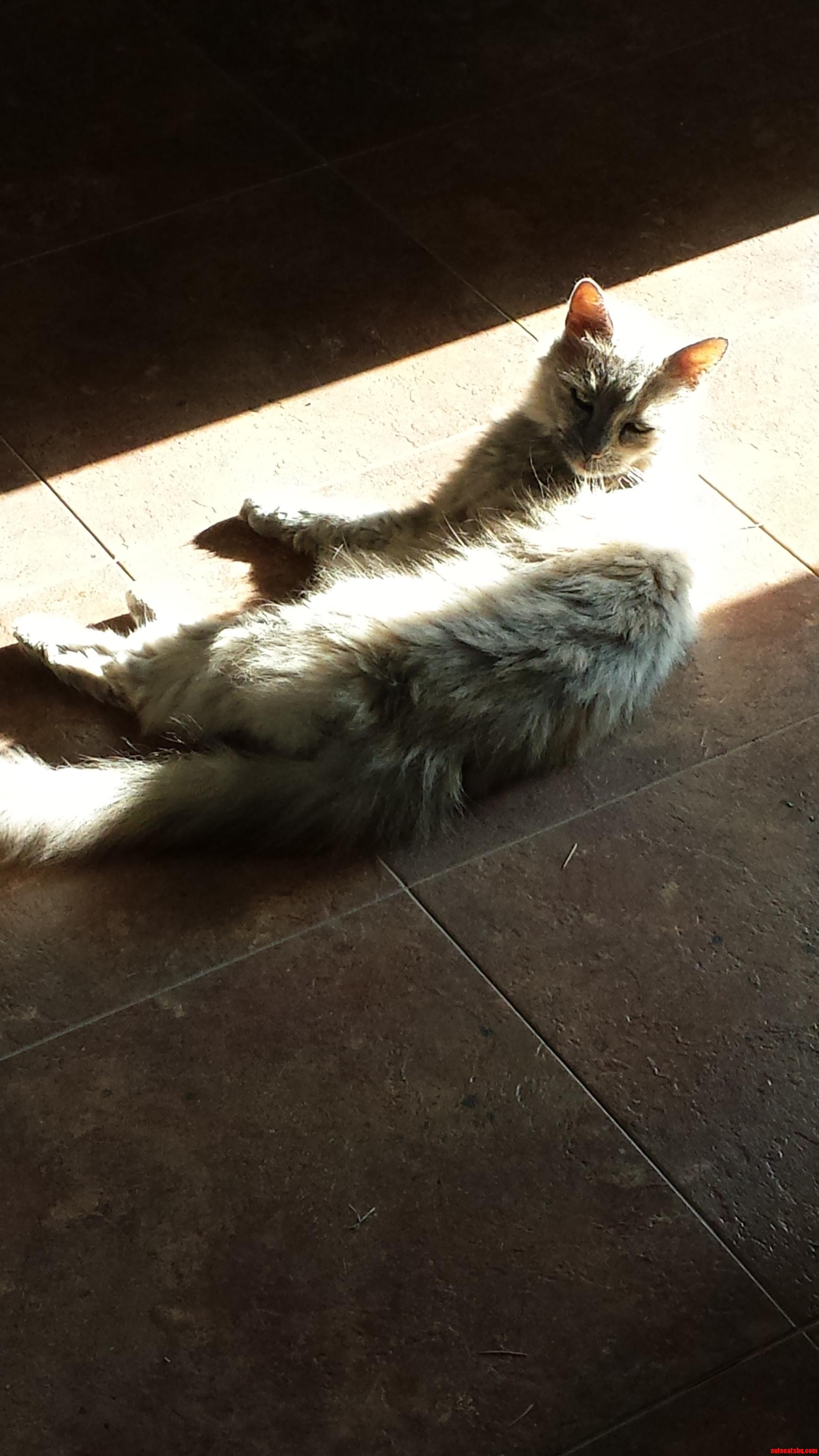 Maisie Sunbathing and Looking Fabulous