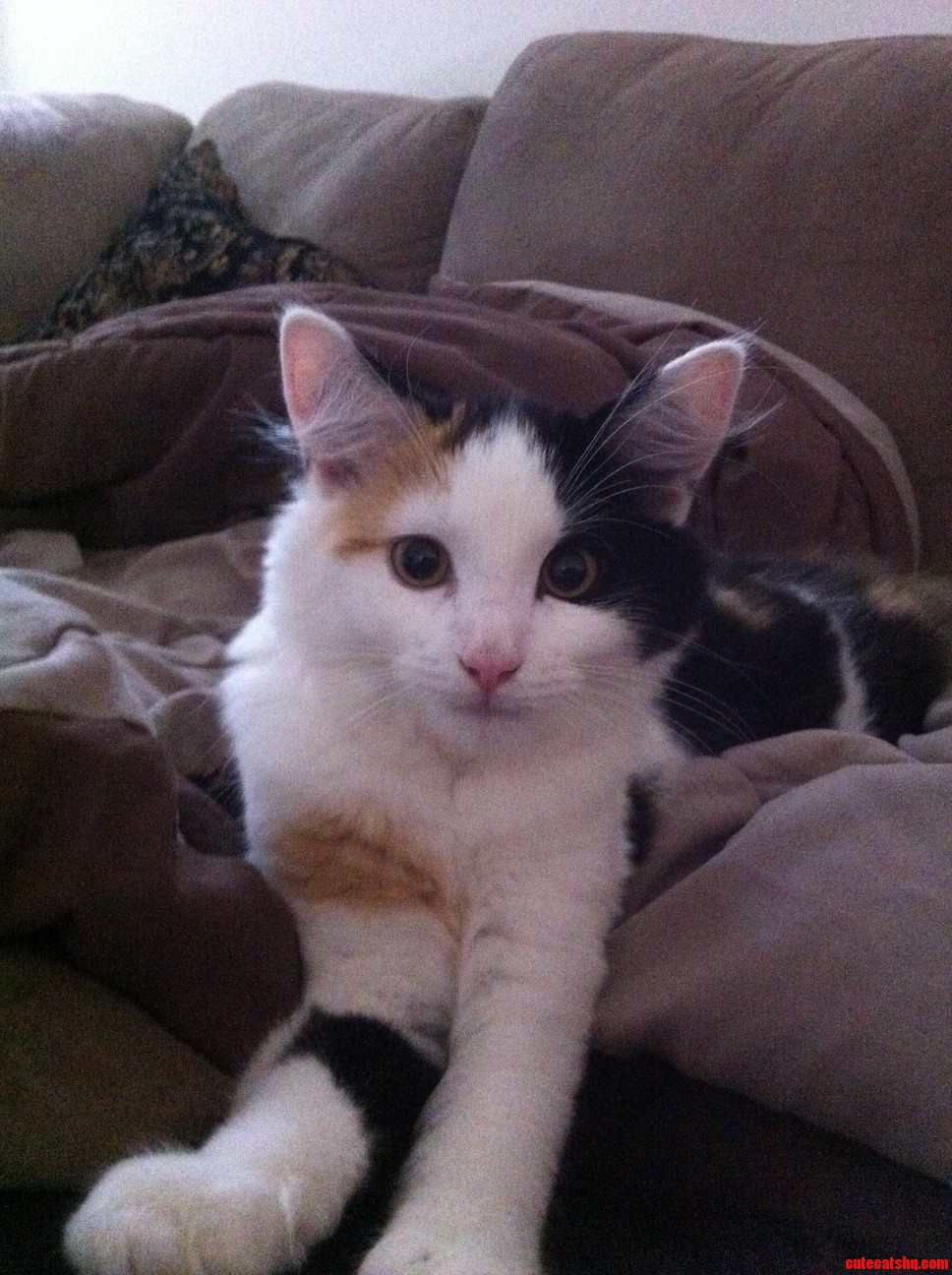 Meeka Thinks She S People