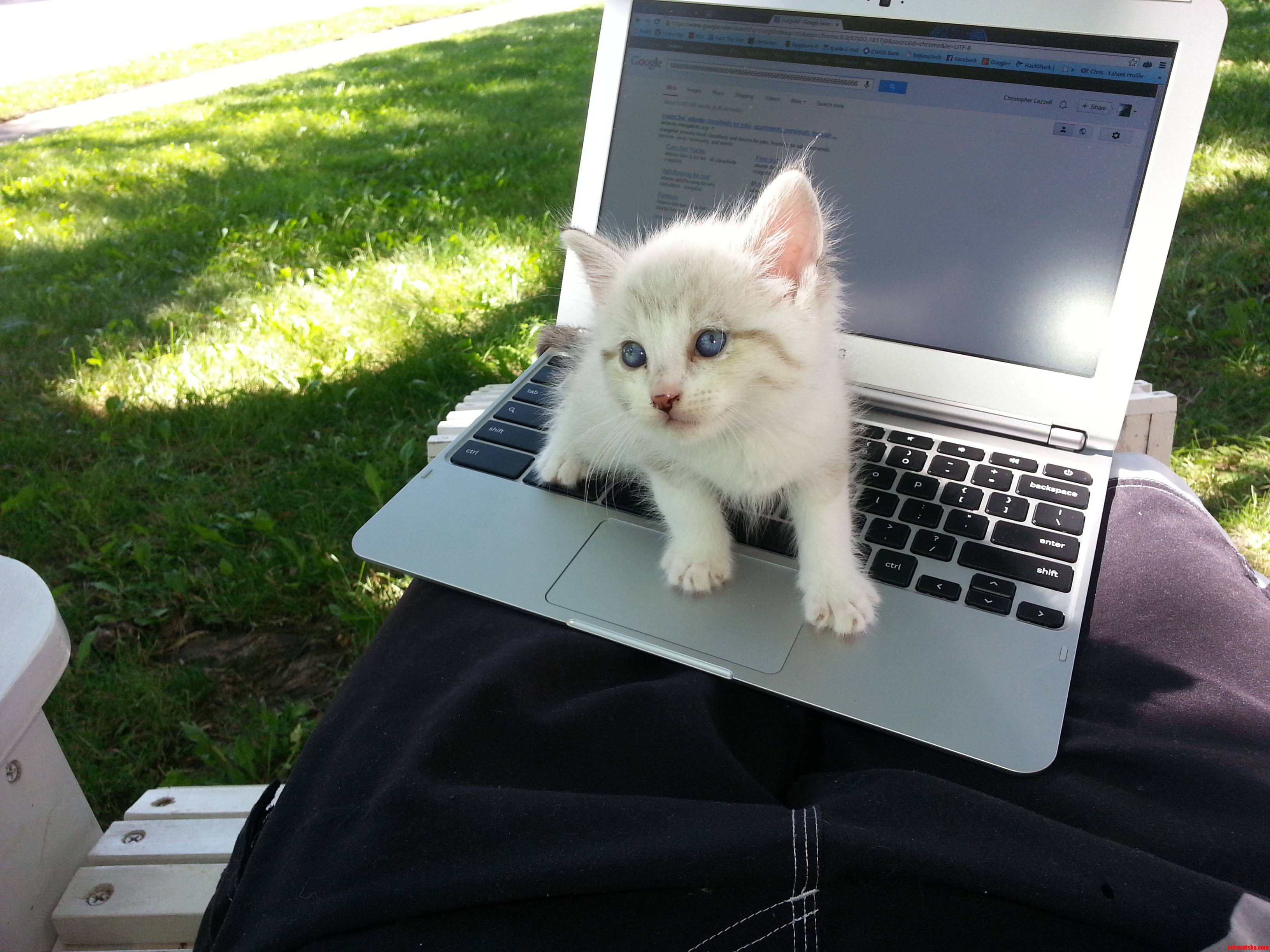 Meet Odysseus