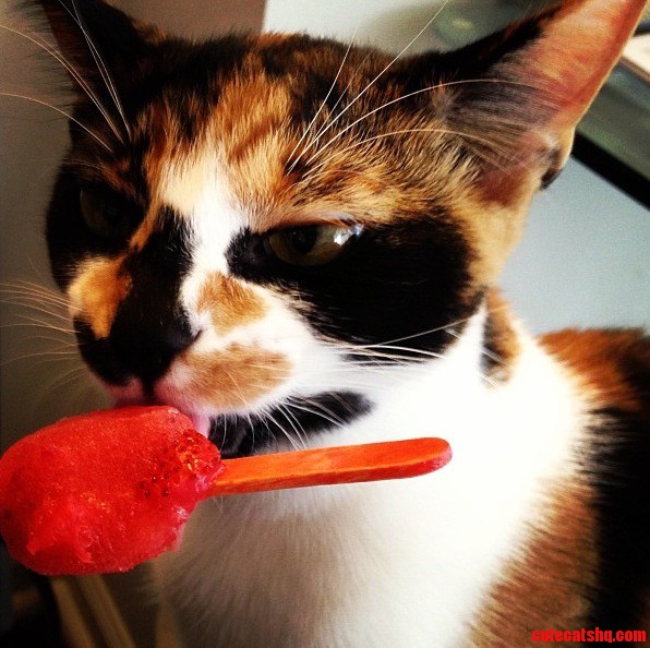 Mitsey Loves Her Strawberry Popsicles