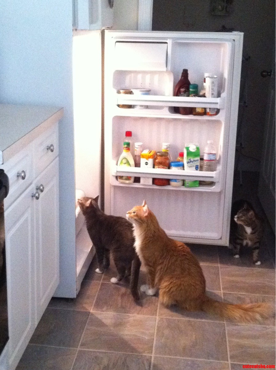 Mom  We Re Out of Milk.