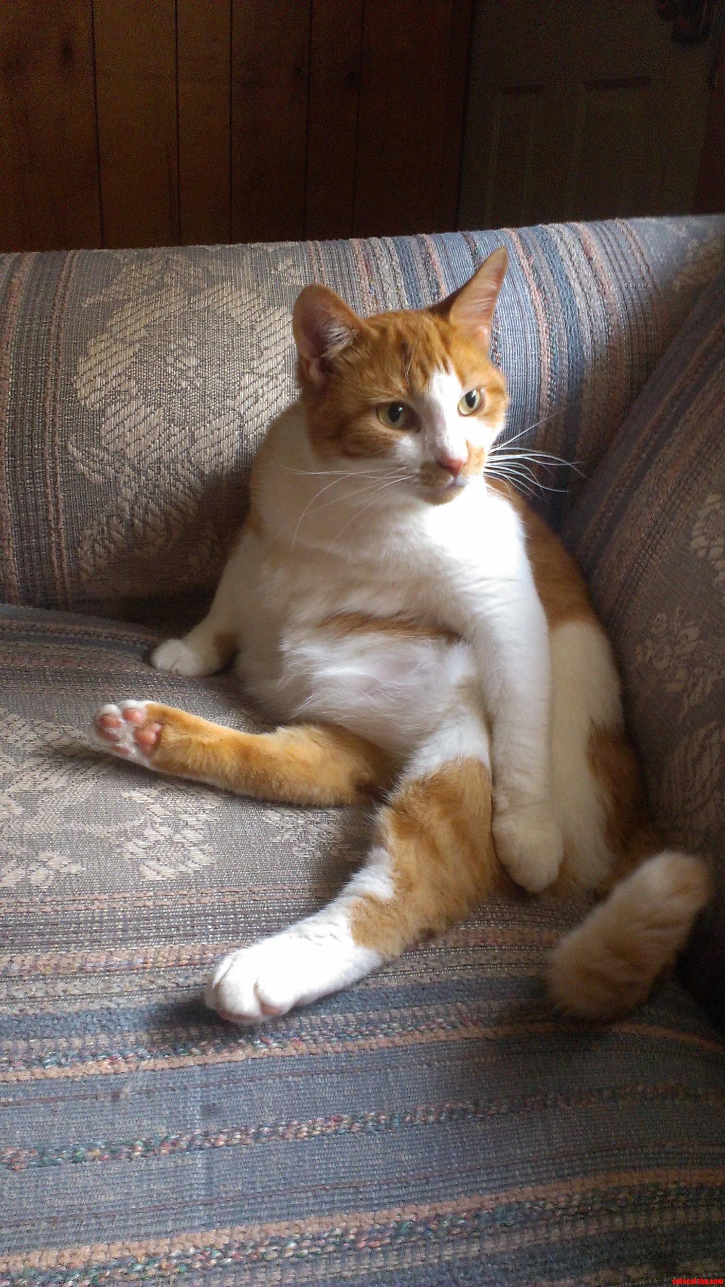 My Buddy on His Favorite Part of the Couch