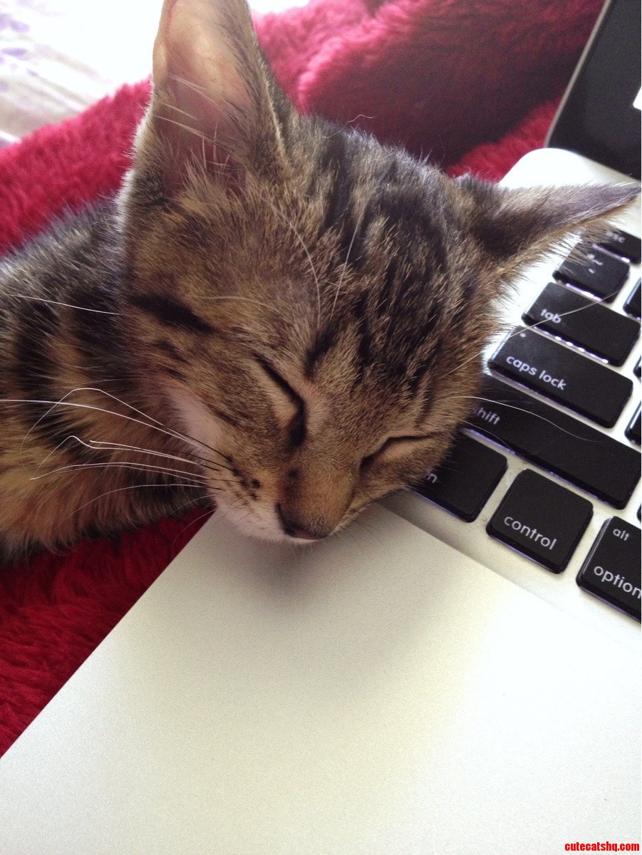 My Computer Is About to Die  but I Can T Bring Myself to Wake Her Up.