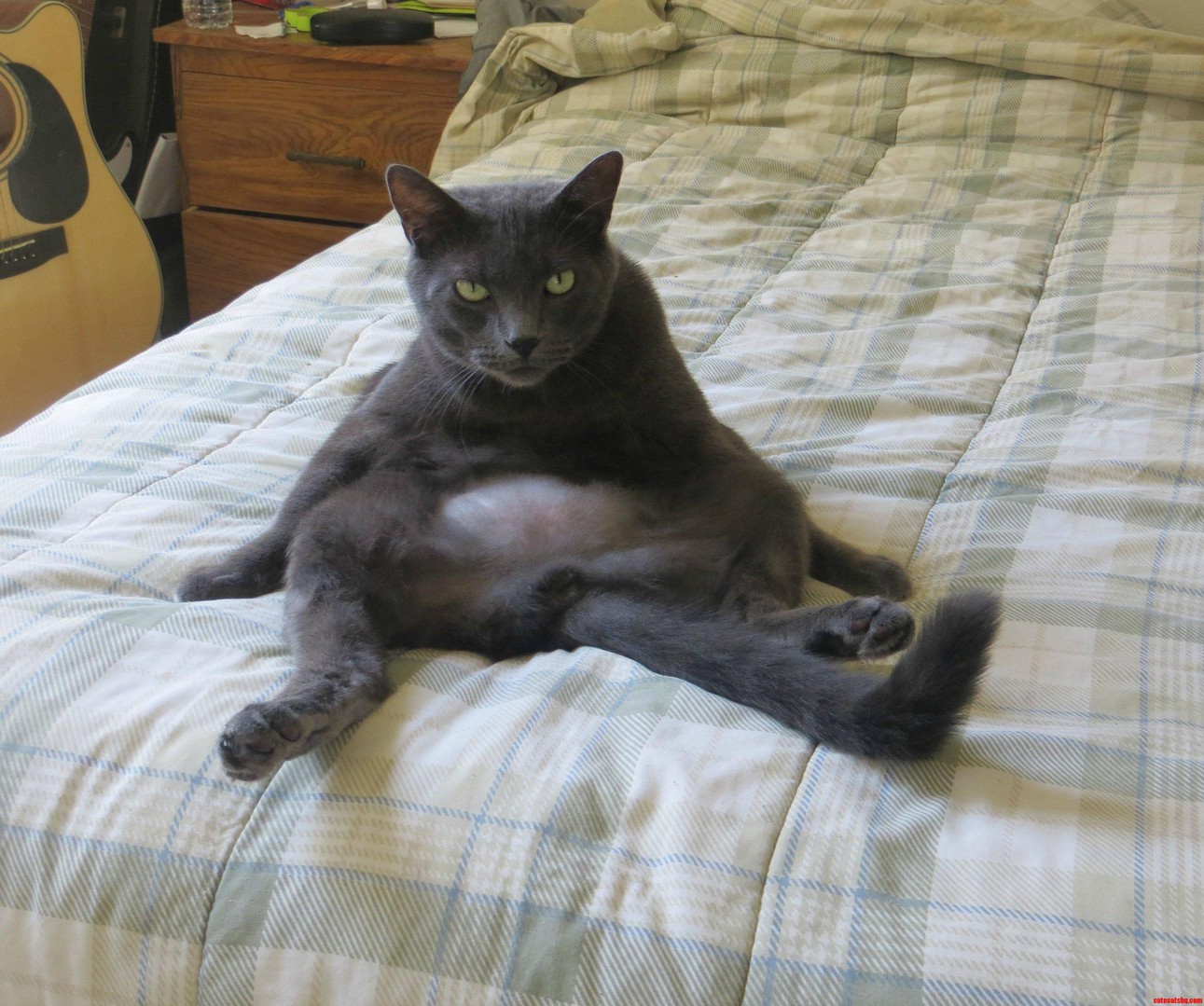 My Grumpy Buddy Wilbur Likes to Just Sit and Think.