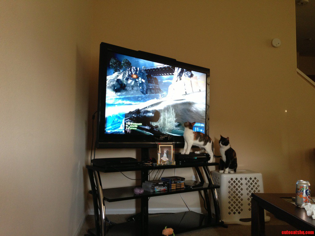 My Husband Trying to Play His Game