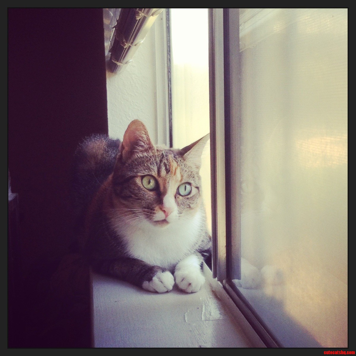 My Lovely Companion Looks Like She S in Deep Thought.