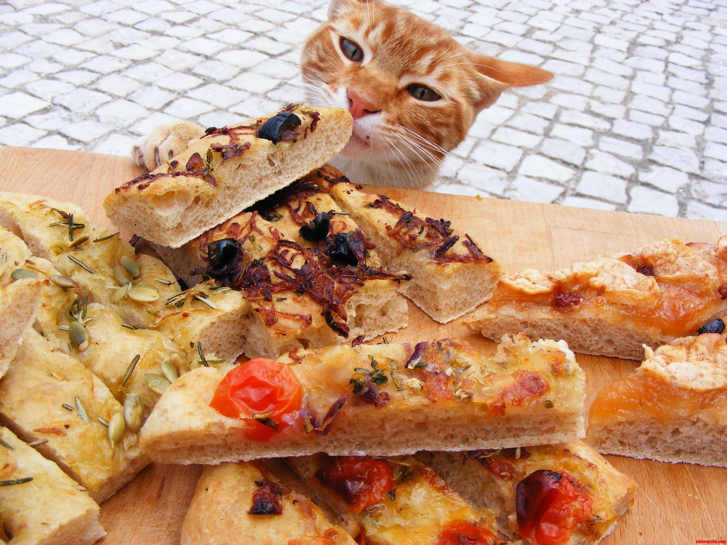 My Mum Likes to Take Outdoors Pictures of the Food She Makes...  Part Ii
