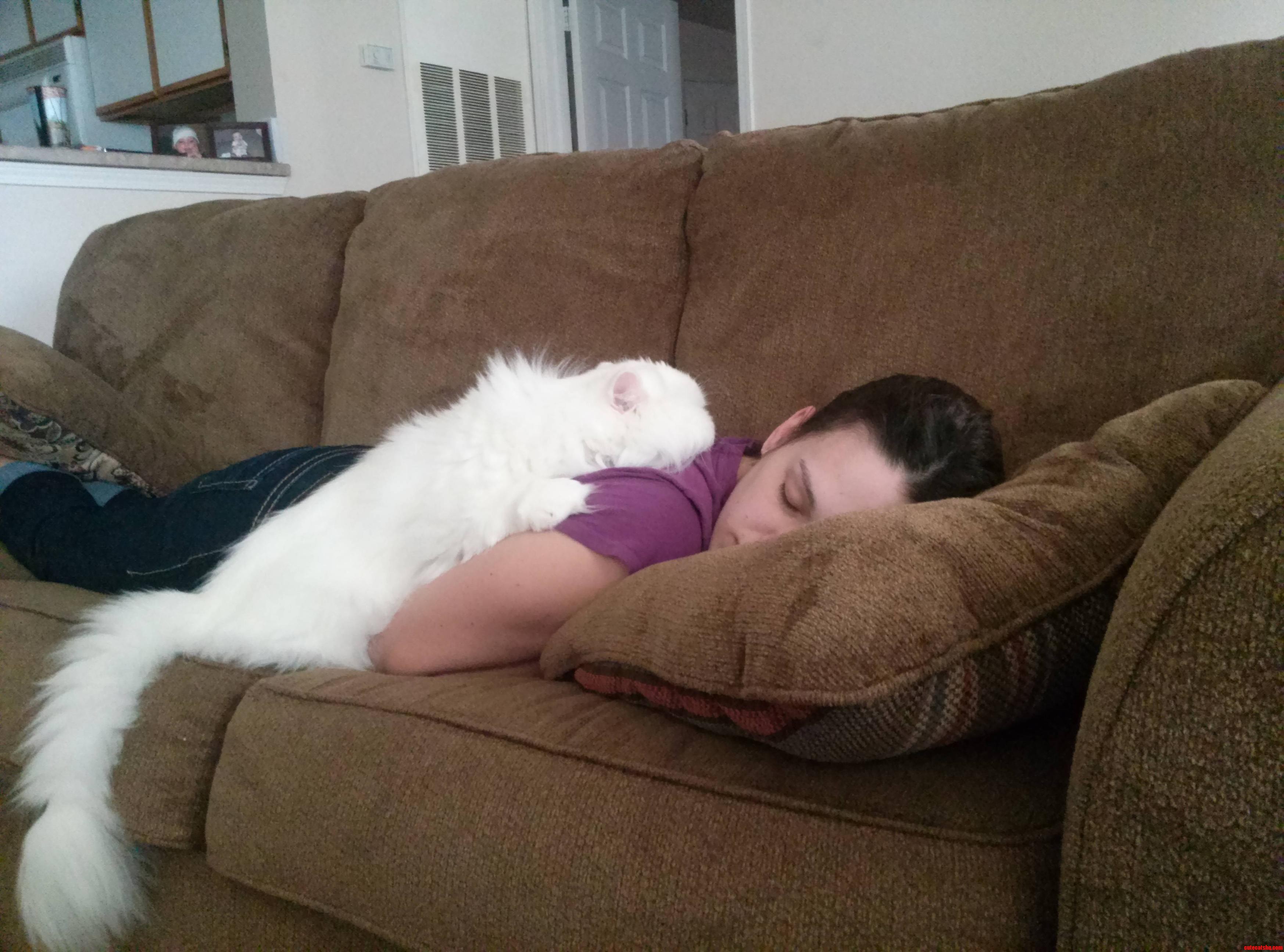 Nap Time. He Looks Big but Its All Fur. He Only Weighs Like 3lbs.
