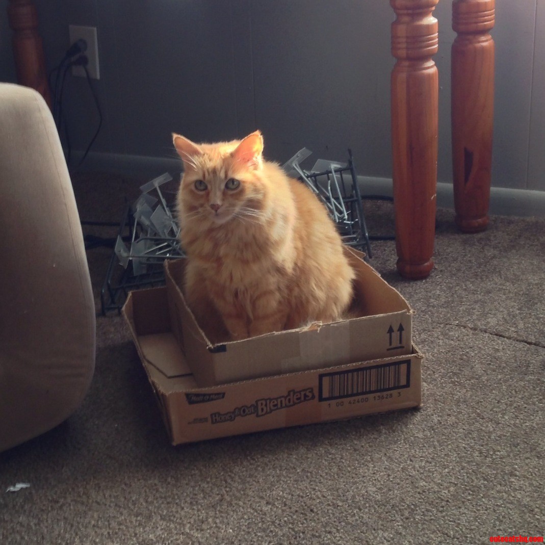 Nobody Puts Princess in a Box  in a Box.