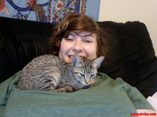 Not Quite Lap Cat...
