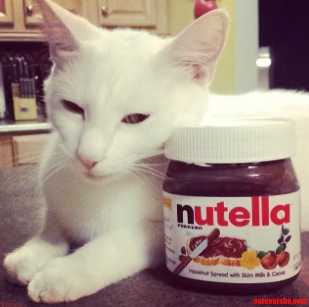 Nutella and Cat