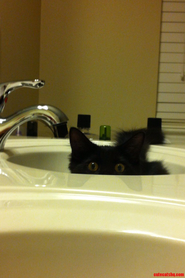 One Day I M Going to Turn the Faucet on When He Does This..