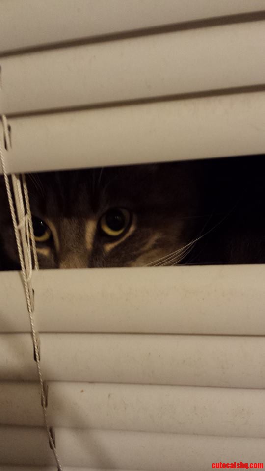 Peekaboo