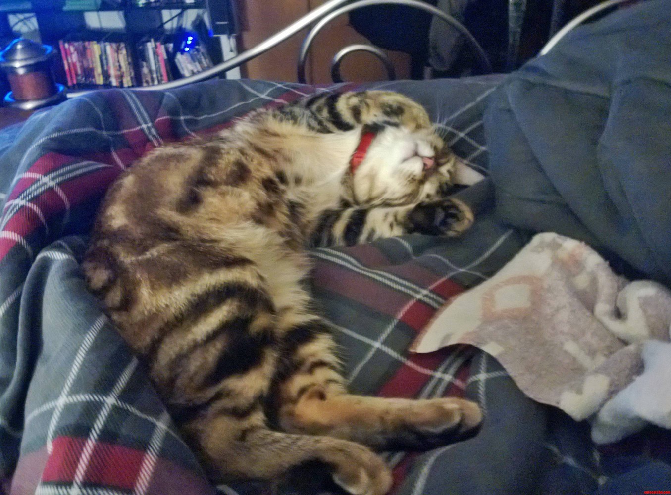 Right Angle Bobby