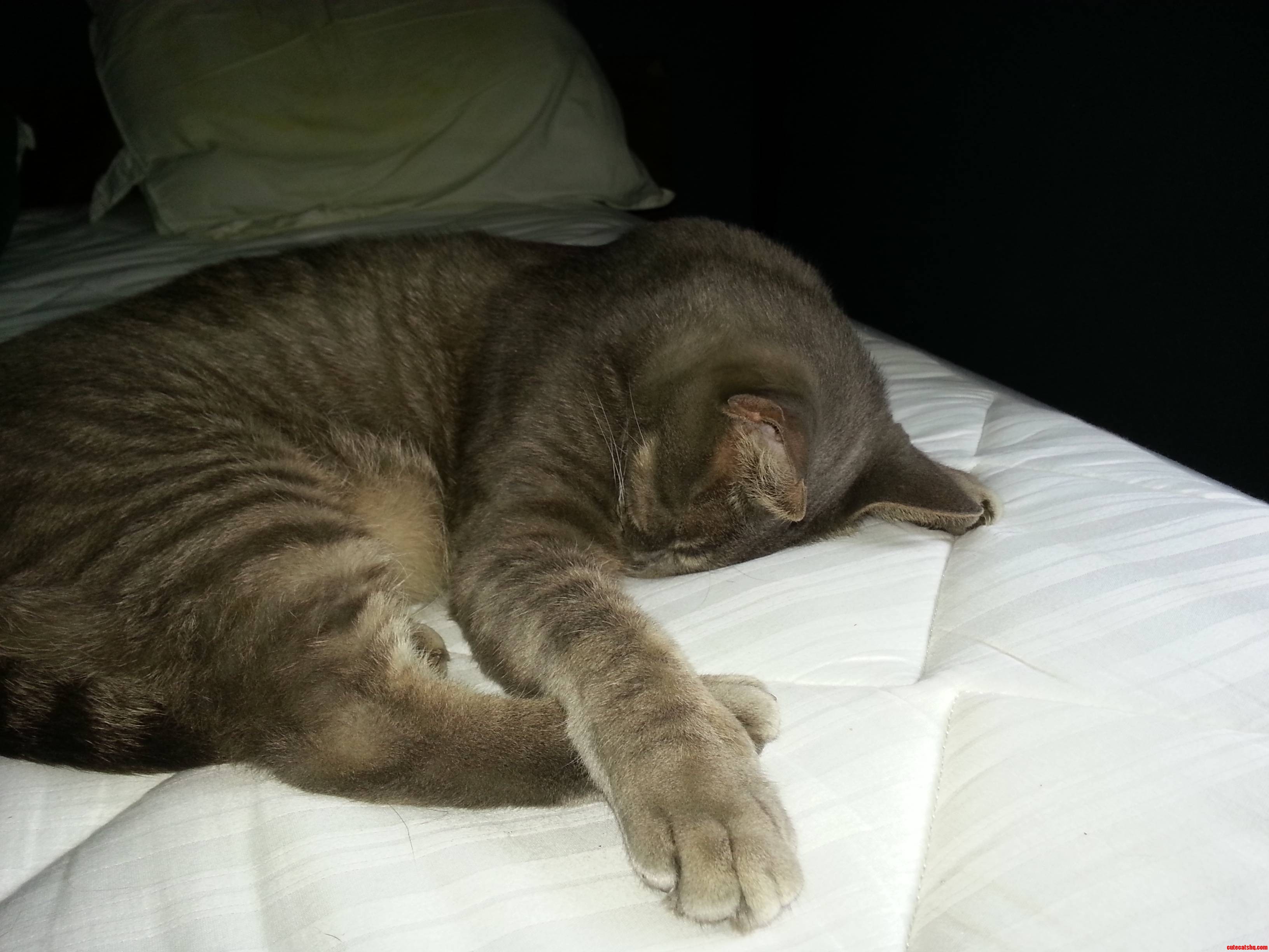 Rough Day