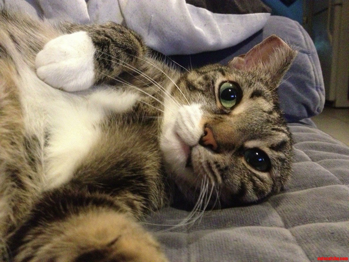 Selfie.