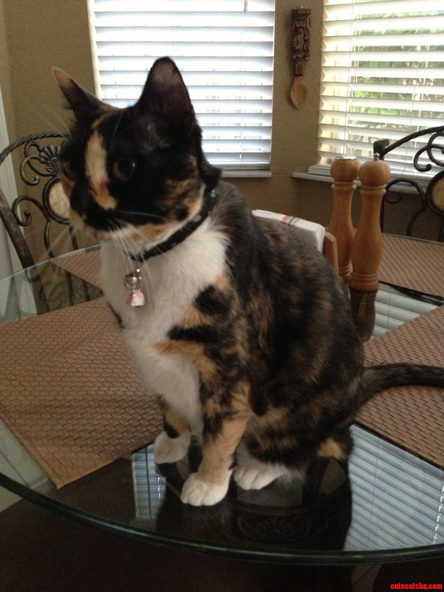 She Does This Whenever I Have Breakfast