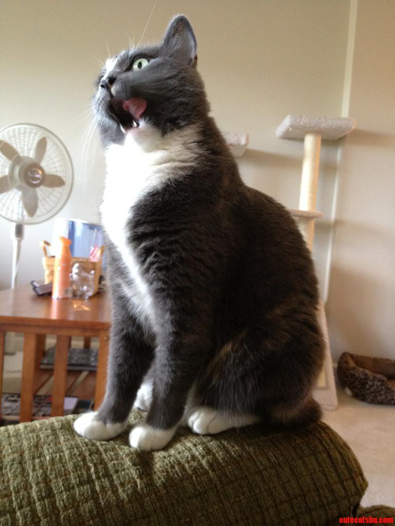 She Enjoyed Her Noms