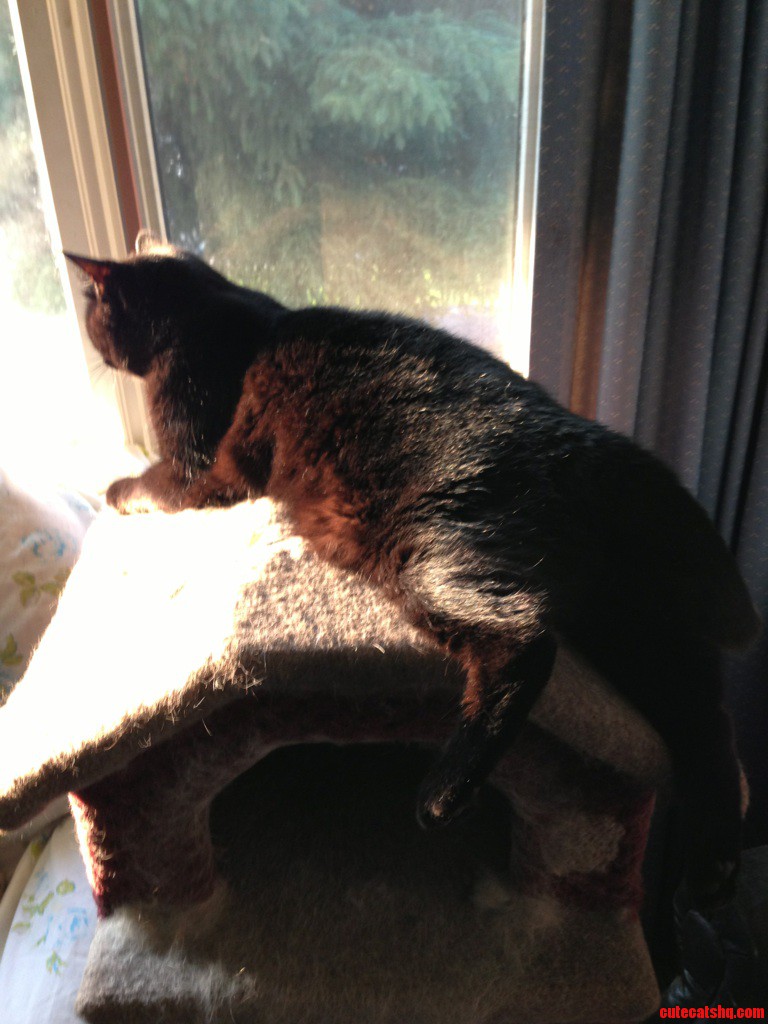 She Finds This Comfy