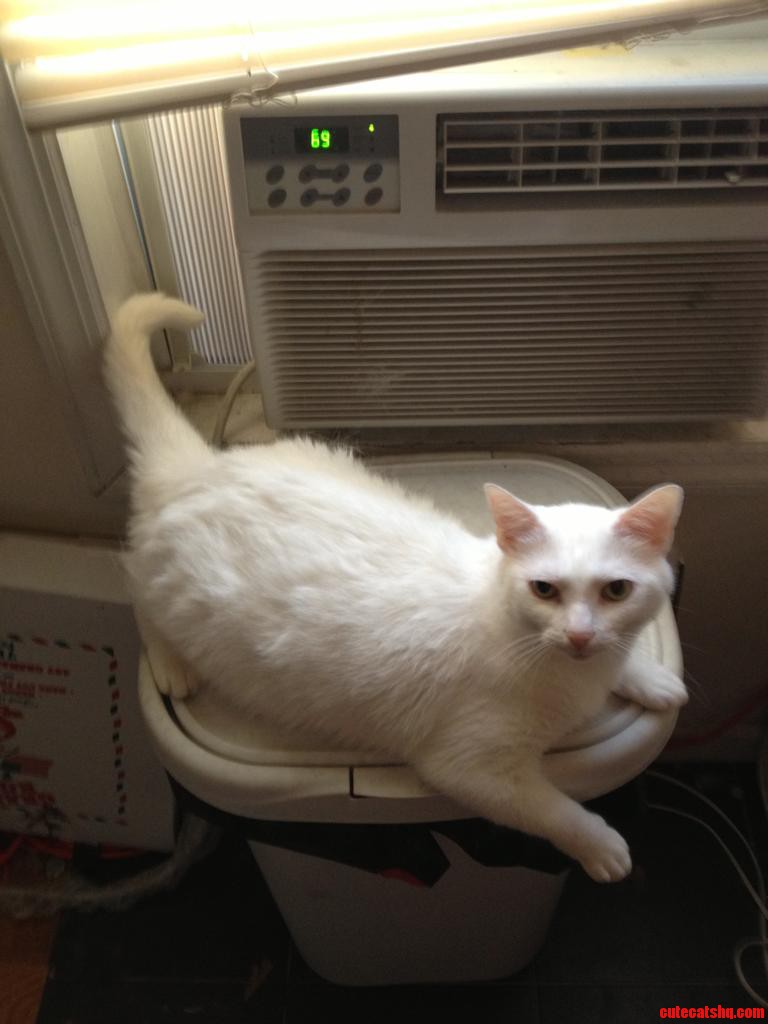 She Knows How to Keep Her Cool.