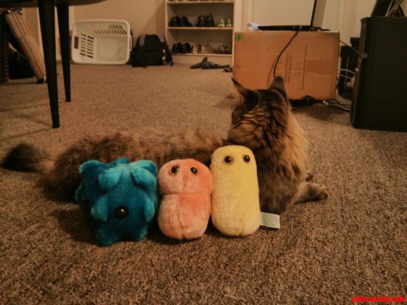 She Ll Have None of This.