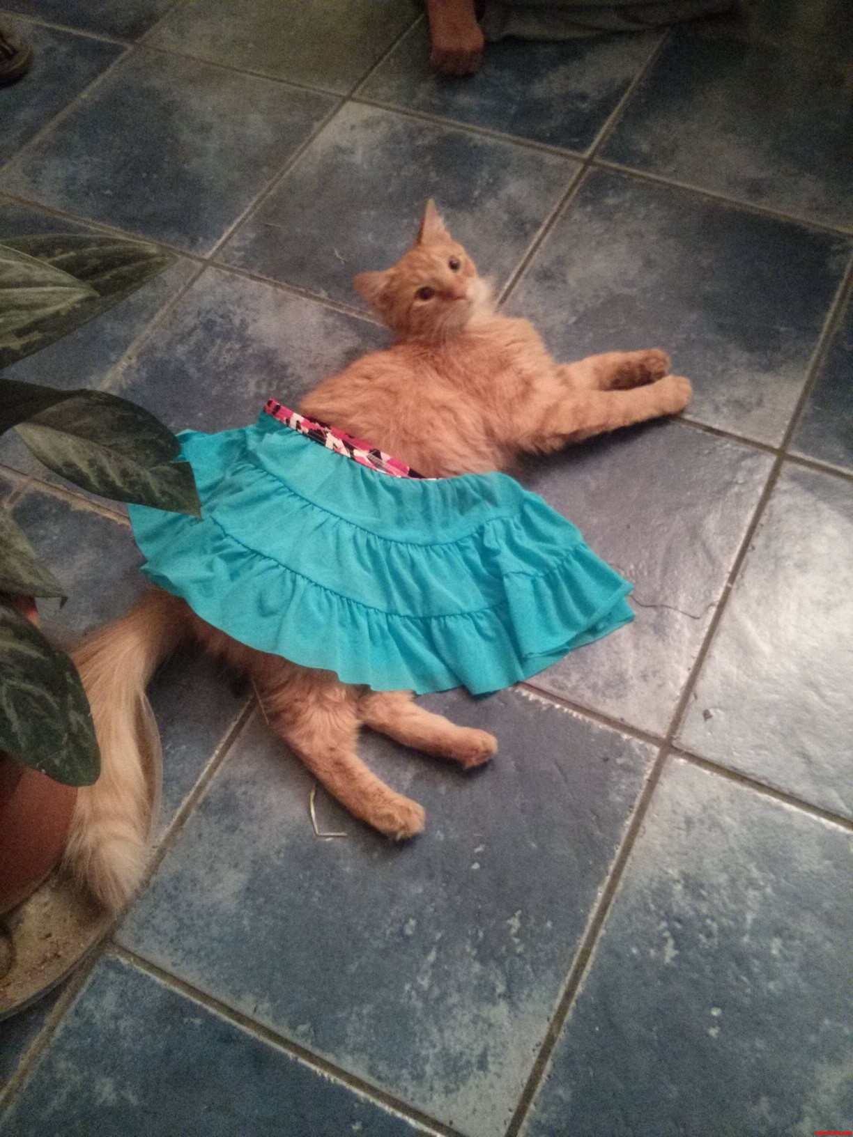 She Stayed with the New Look for Thirty Minutes. the Eyes Never Lie. She Liked It.