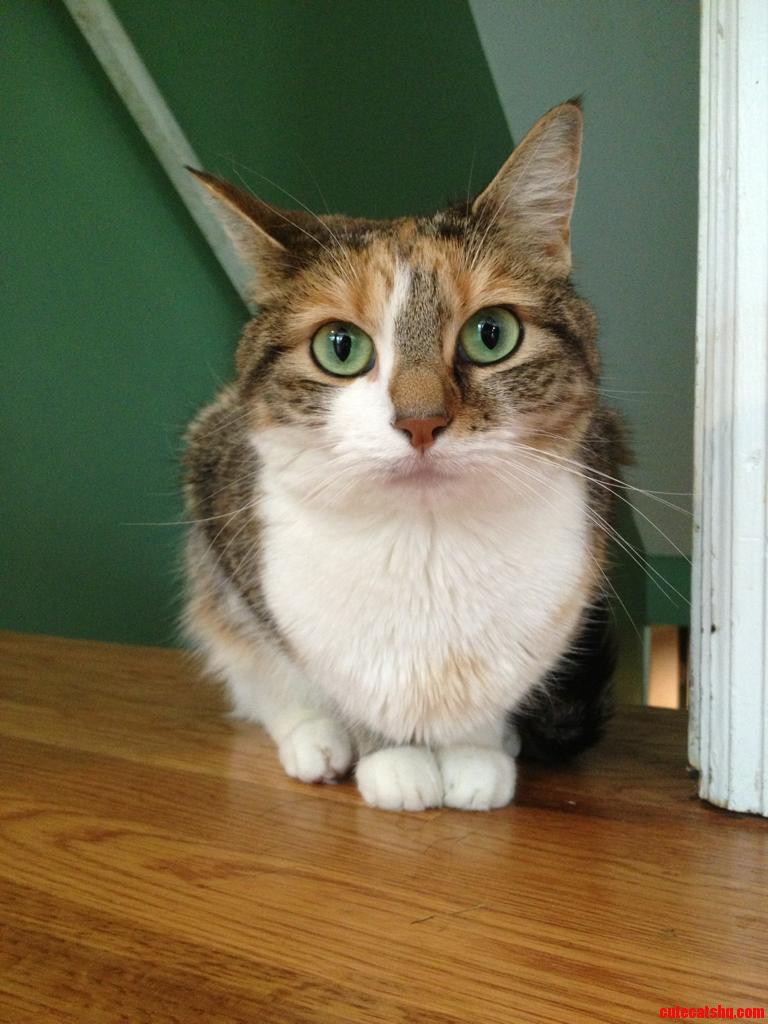 She Will Beat Anyone in a Staring Contest.