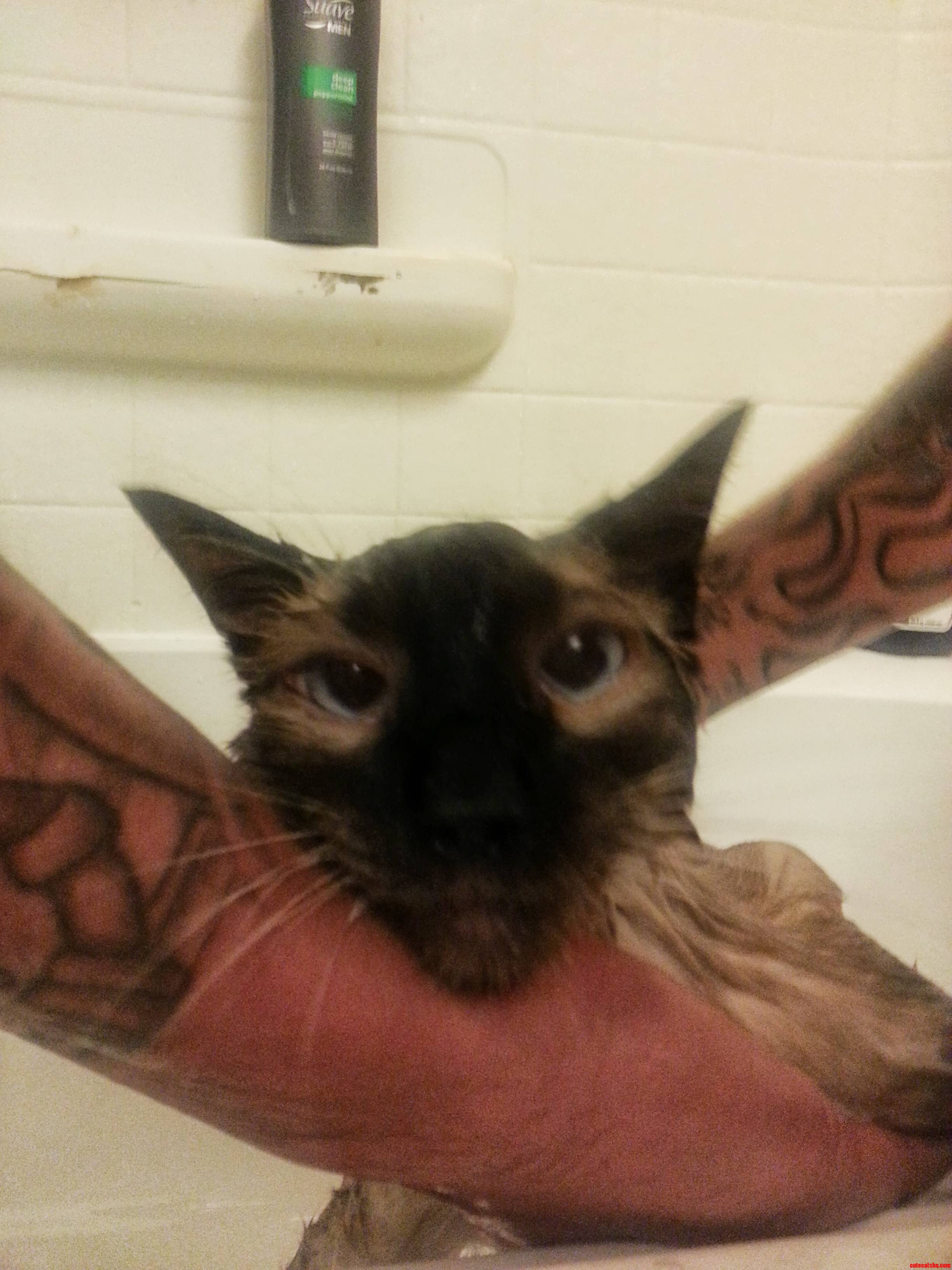 Simons Bath Time. I D Say He S Enjoying Himself.