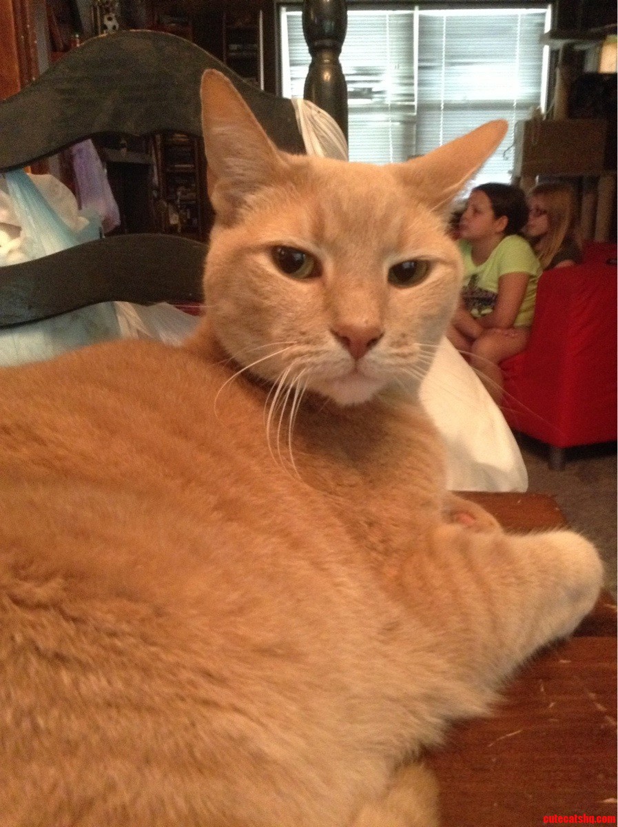 Sir Simba