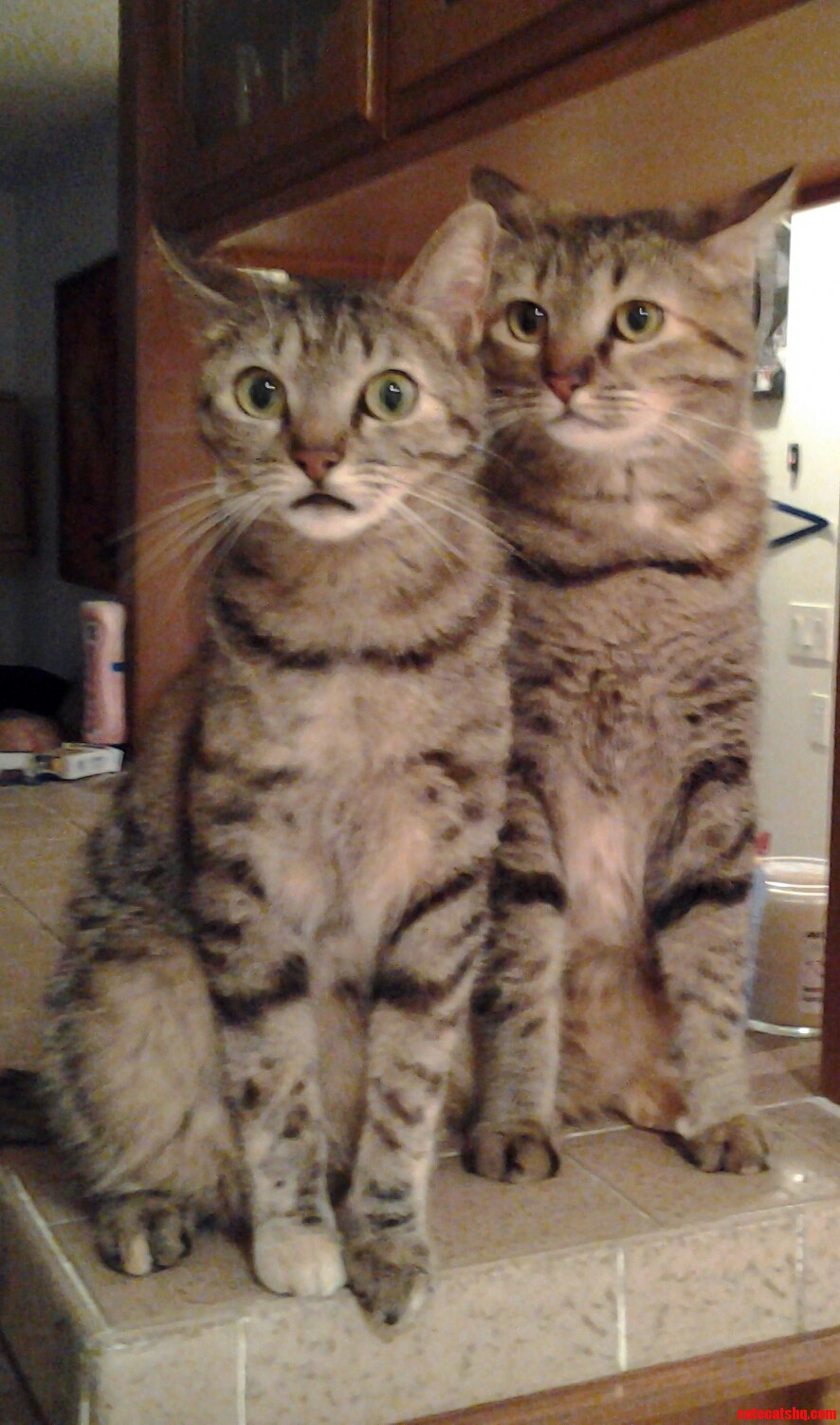 Sisters.