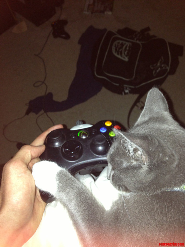 Sleeping on Me While I Play Xbox.
