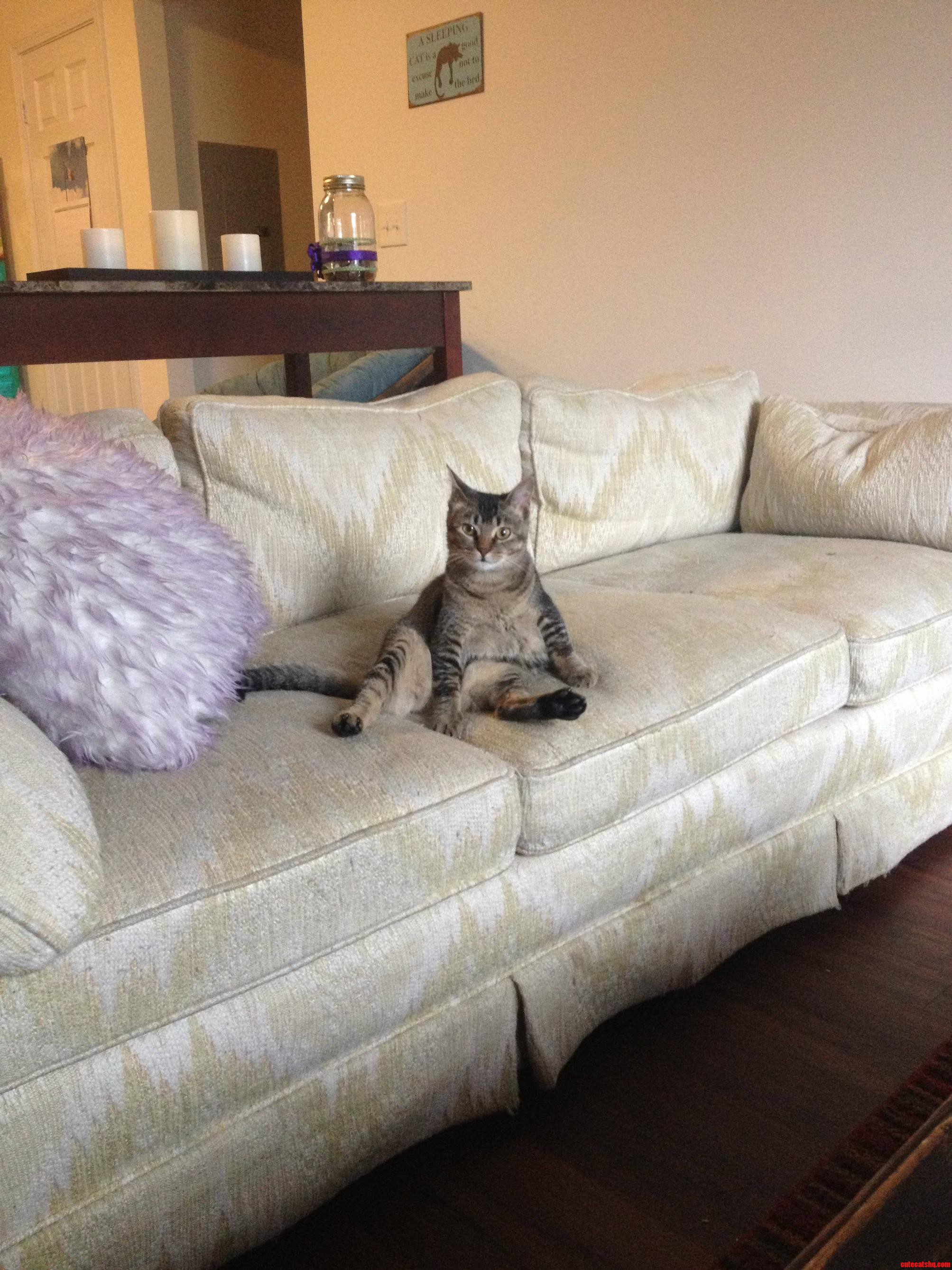 So Ladylike