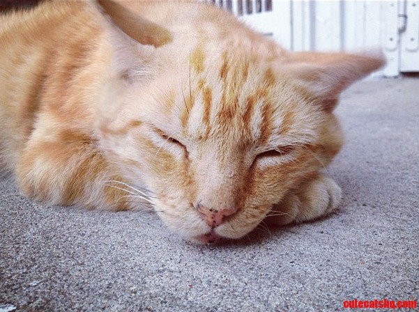 So Sleepy