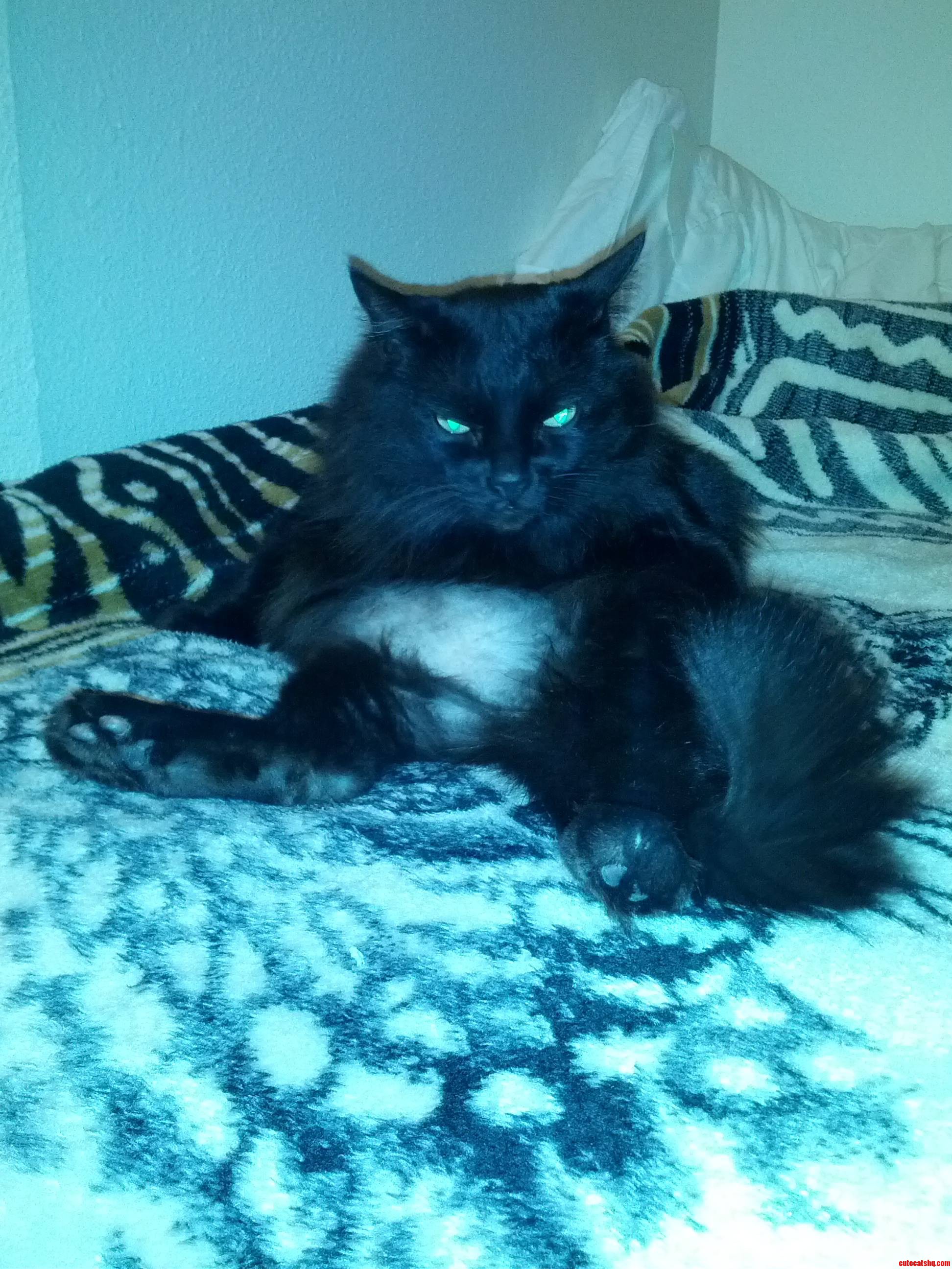 Sometimes...he Is So Freaking Ugly.