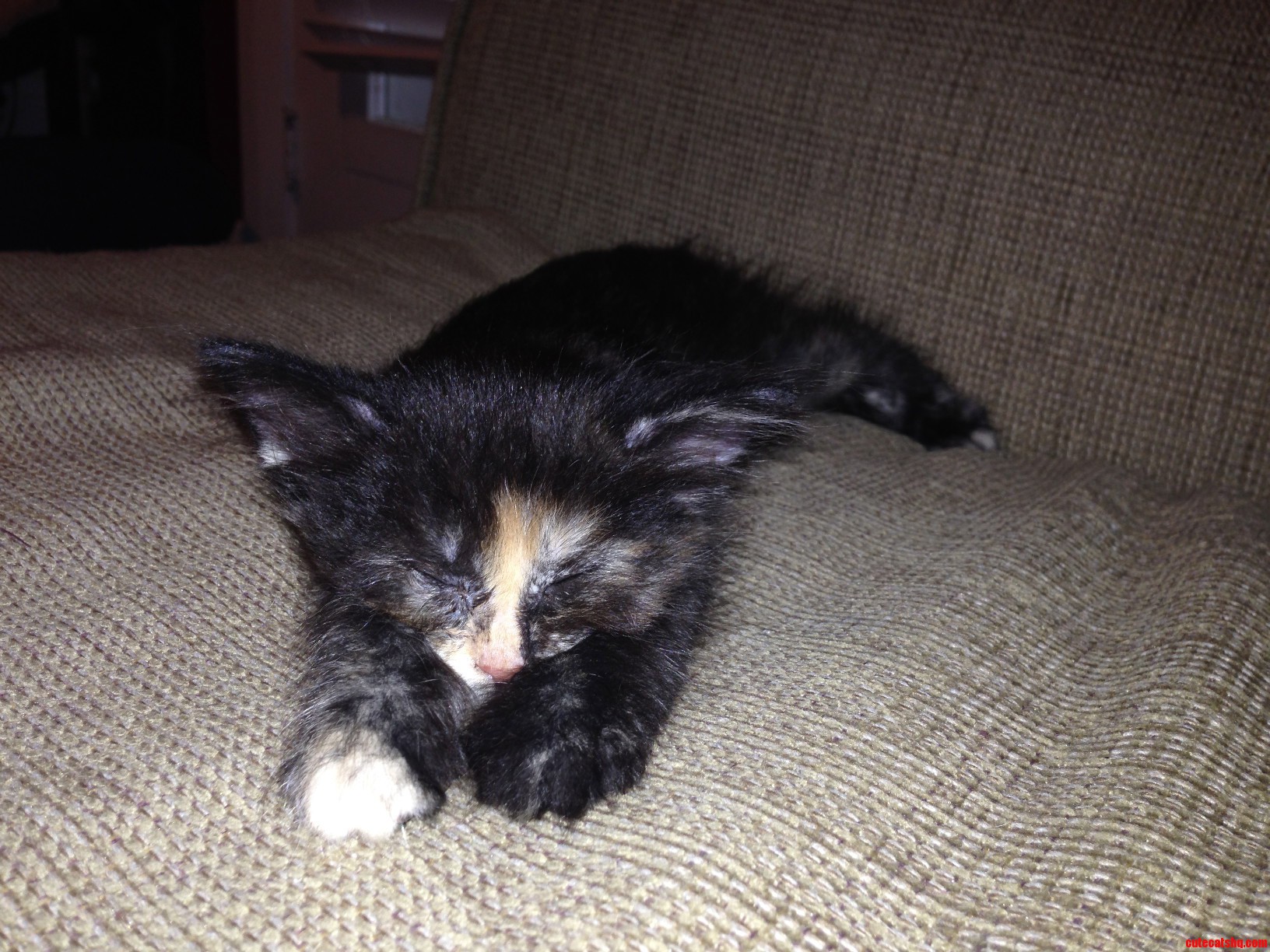 Still Haven T Named Her