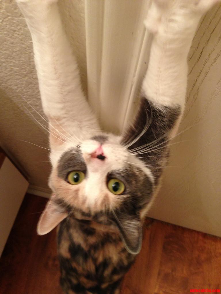 Streeeeeeeeeeeeeetch