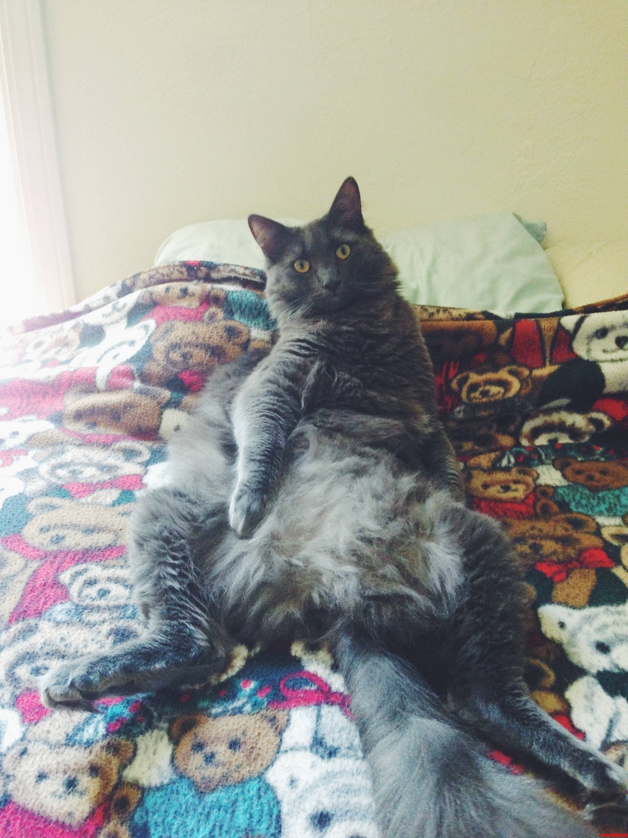 Sup Girl