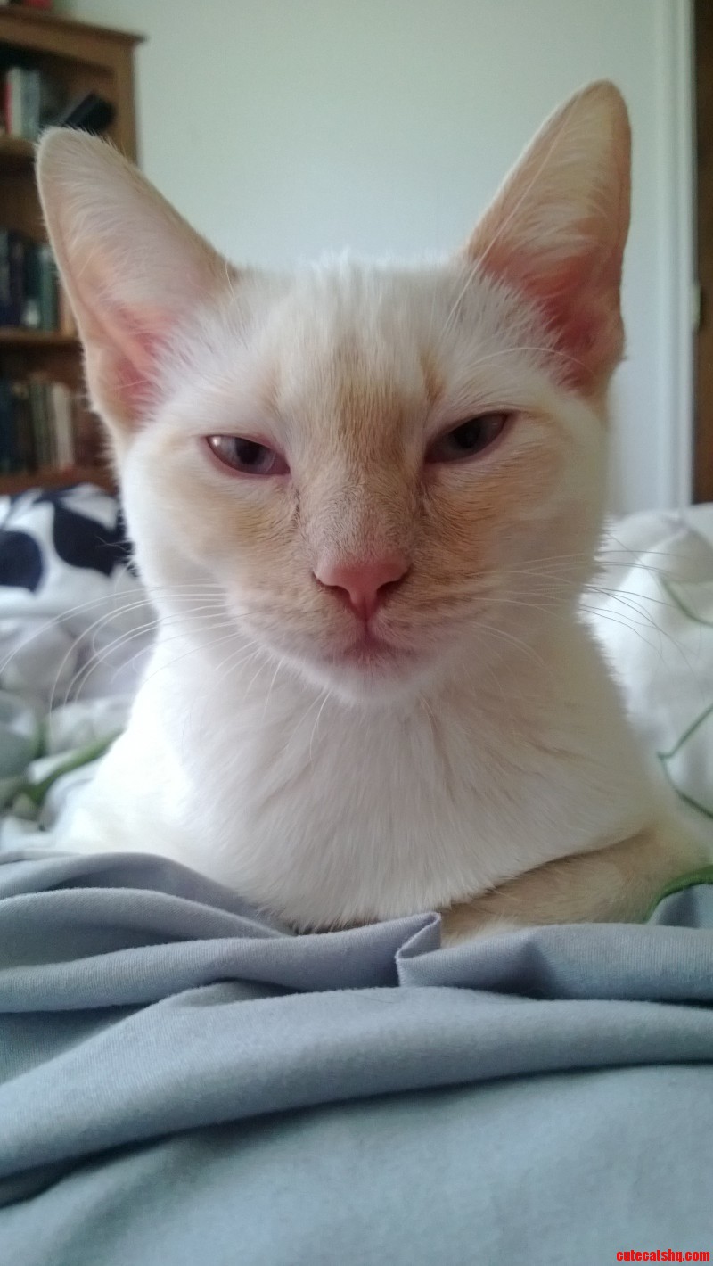 That Glare.