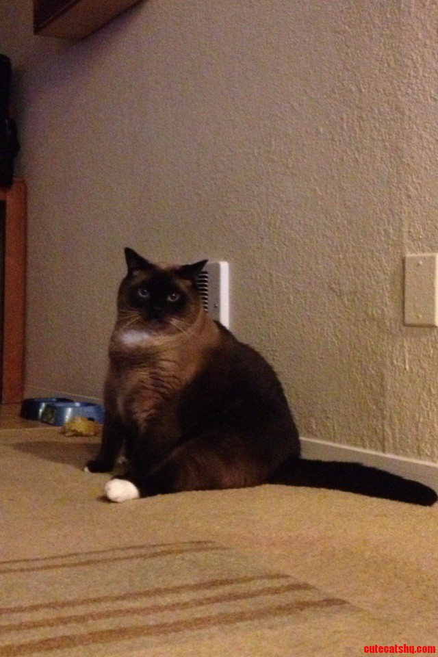 That S His Hungry Face