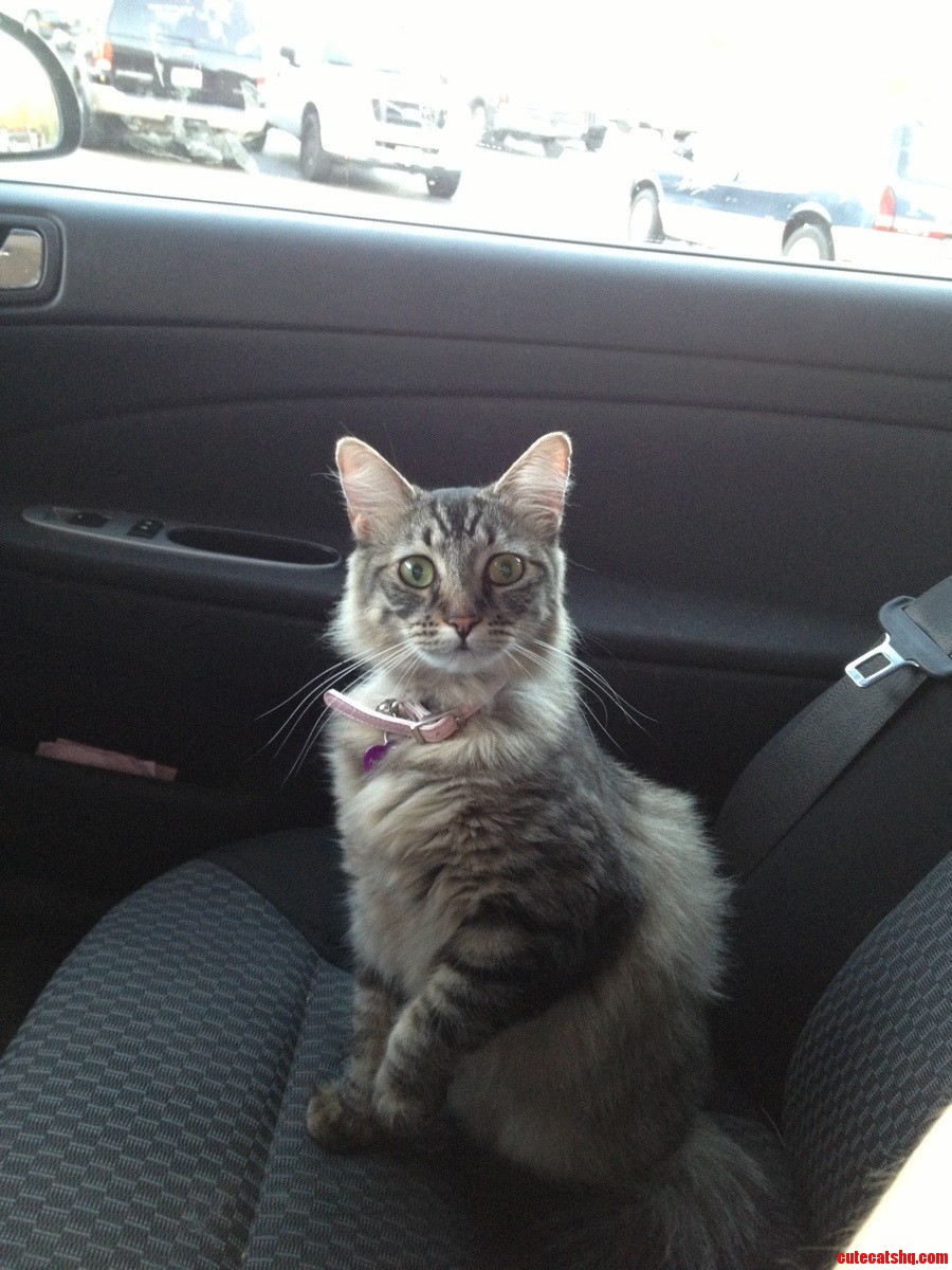 The Fact Someone Is Talking to Me and She Can T See Them Really Confuses Her...  at the Bank Drive Thru