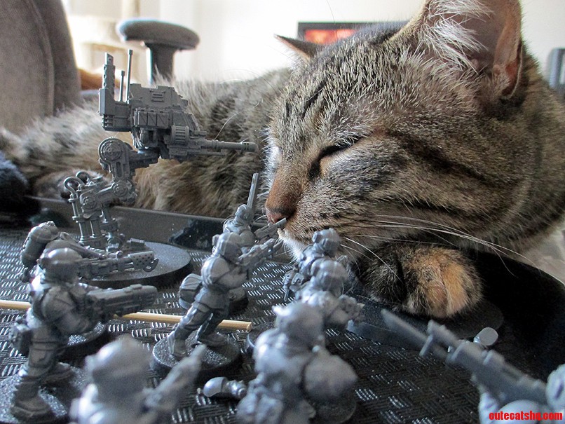 The Troops Are Ready to Attack and She Could Care Less