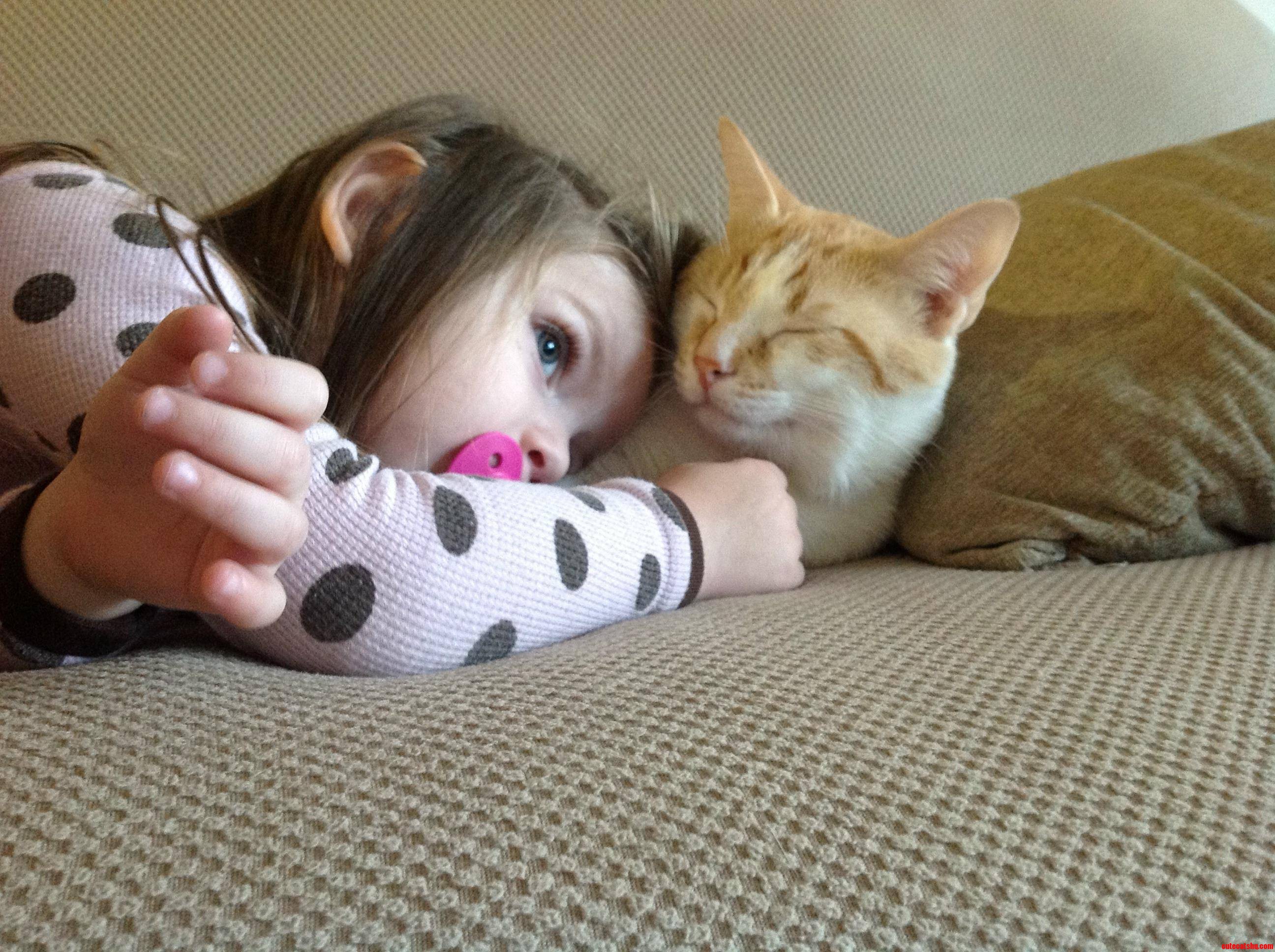 They Re Best Friends.