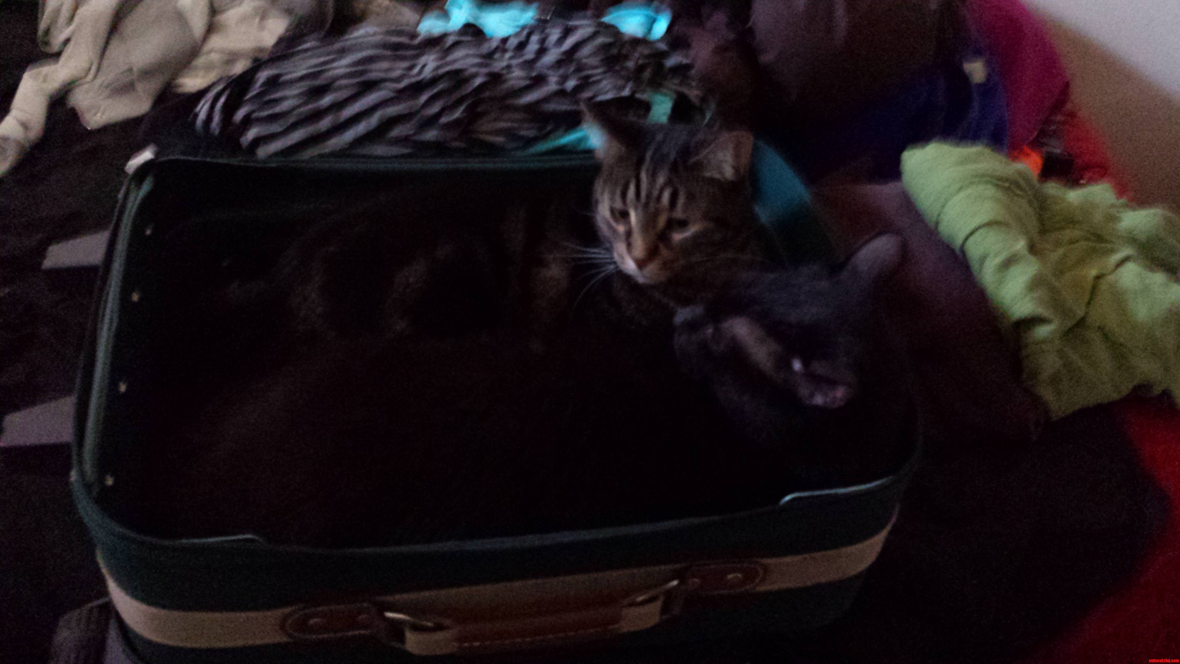 They Think They Re Coming with Me...