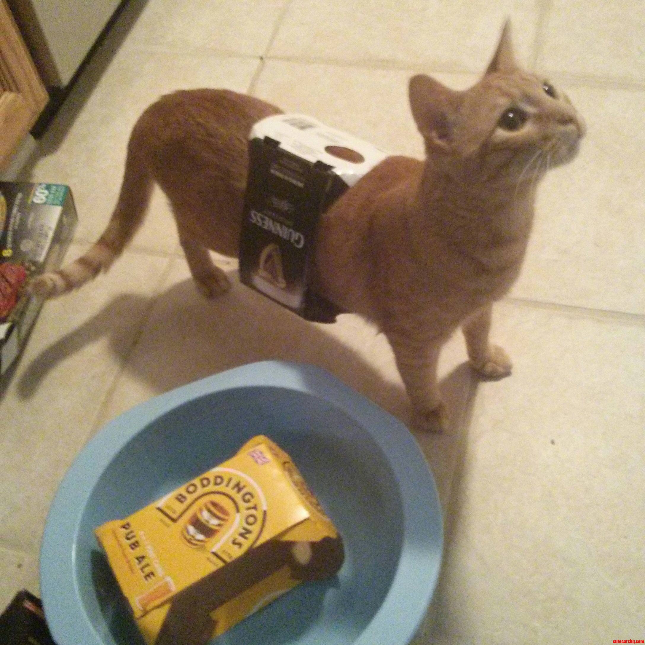 This Is Butters. He Is Our Special Boy.