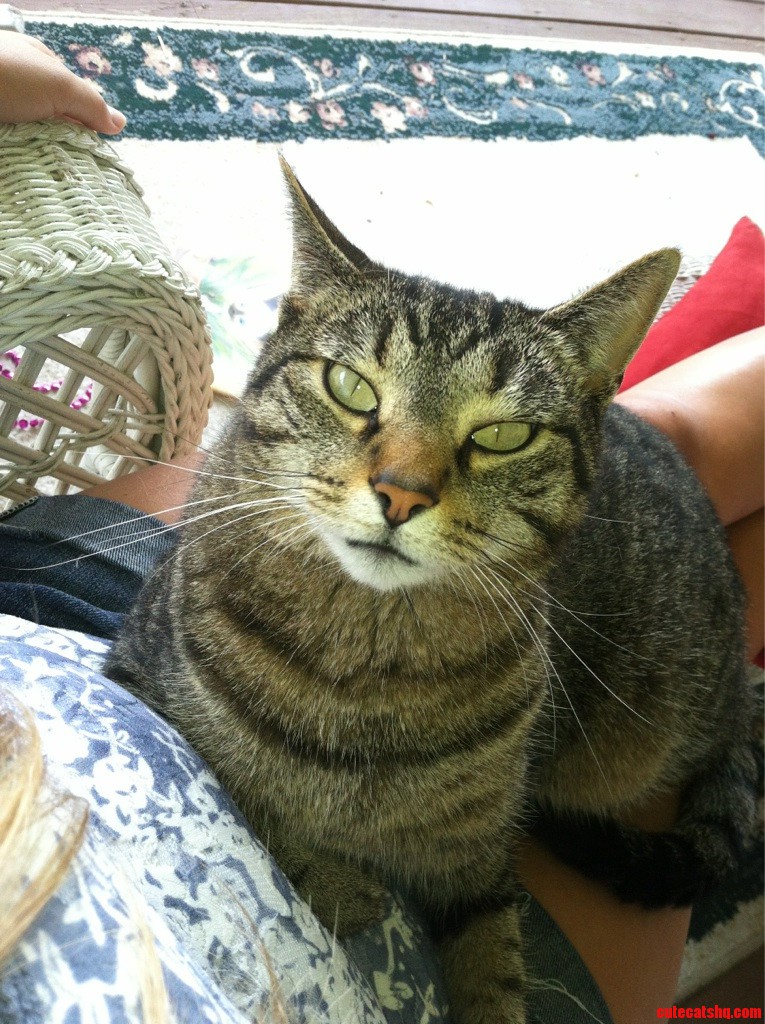 This Is Cat. I Get to Use Her for Karma for the Next Week.
