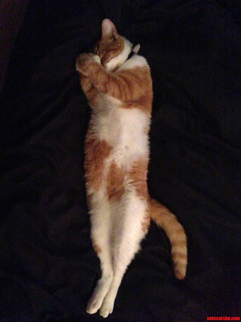 This Is How My Baby Sleeps 3