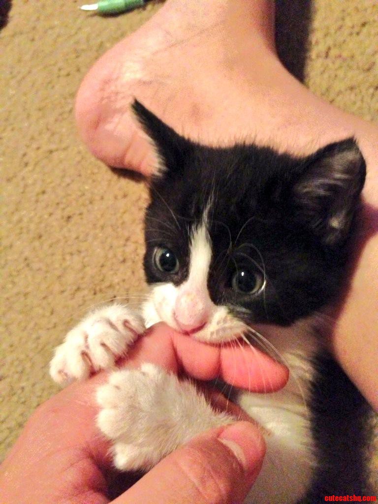 This Is How She Plays.