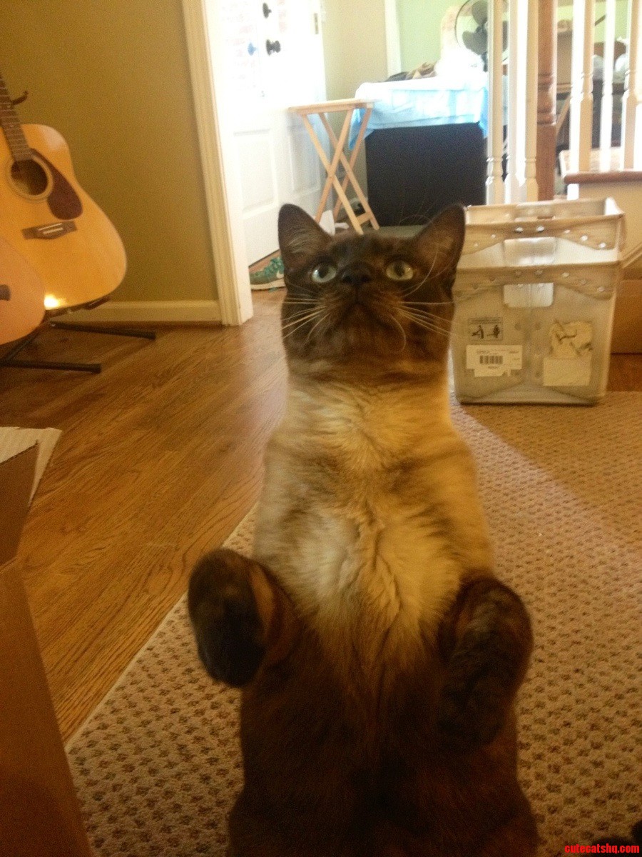 Treat Time for Oscar