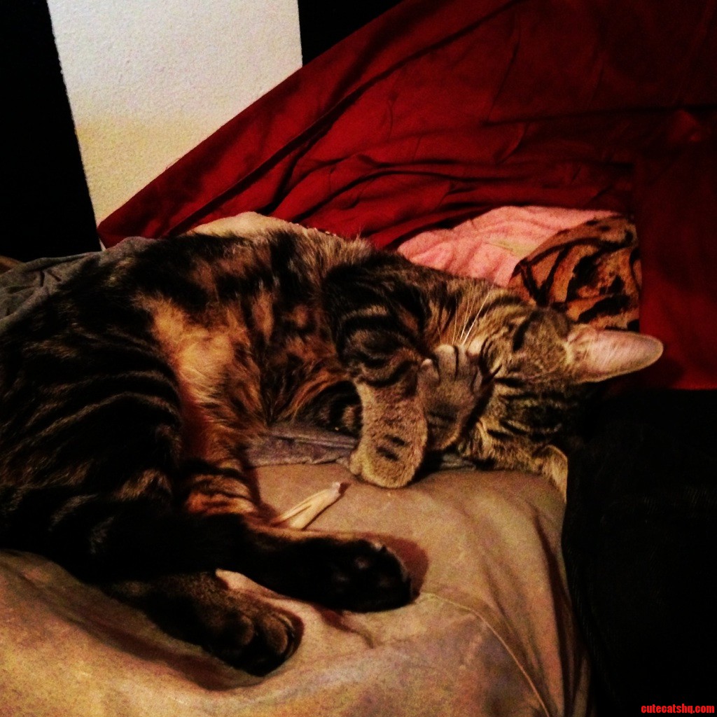 Waking Her Up from a Nap.