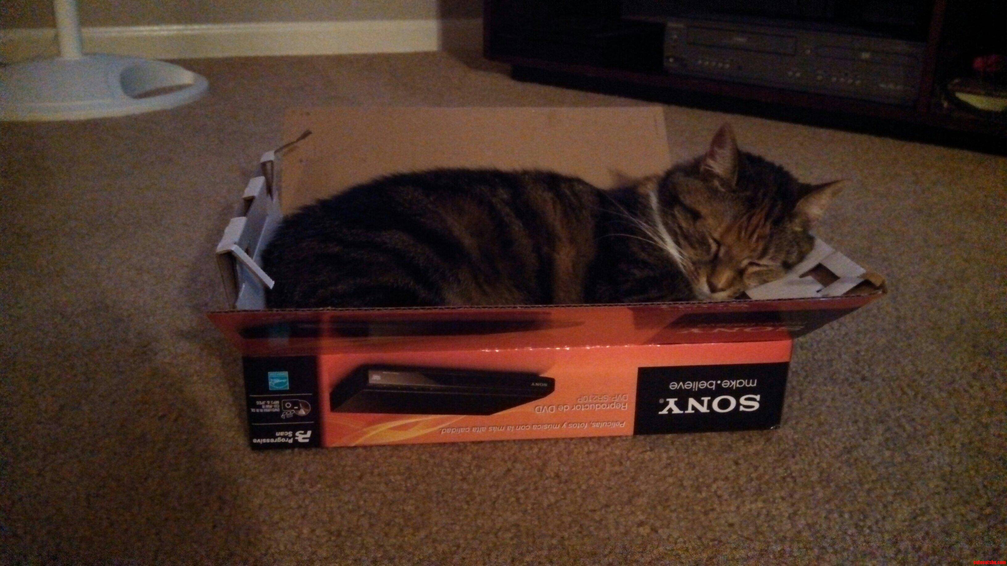 We Barely Got the Box Emptied.
